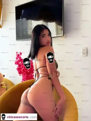 Stefy Tu Chica Preferida Morenita Pelicorto, Escorts en Bogotá — 19 años