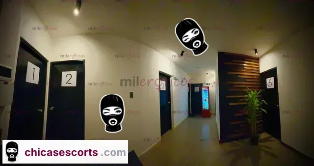 Trabaja Como Prepago En MedellíN Con Excelente UbicacióN., Escorts en Medellín, Colombia — 23 años