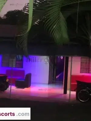 Club Canelas Exclusivo 24 7 Con Zona Vip Y Habitaciones Privadas Al Norte, Escorts en Cali, Colombia — 45 años